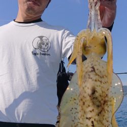 シースナイパー海龍 釣果