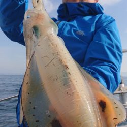 シースナイパー海龍 釣果