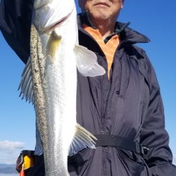 アマテラス 釣果