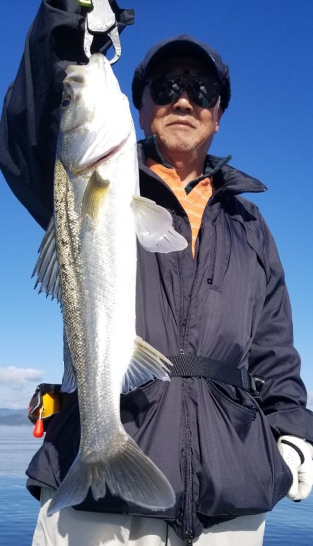 アマテラス 釣果