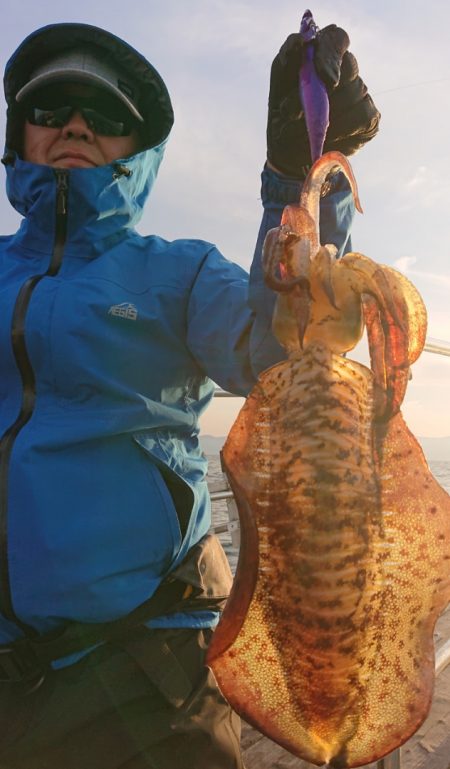 シースナイパー海龍 釣果