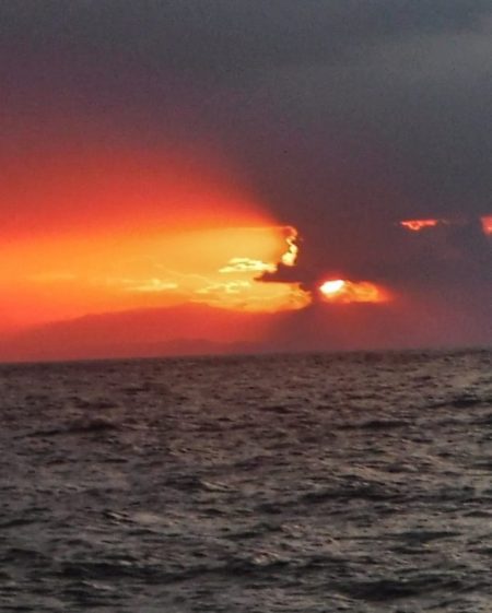 ブルースフィッシングサービス 釣果