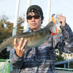 としまえんフィッシングエリア 釣果