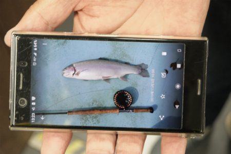 としまえんフィッシングエリア 釣果