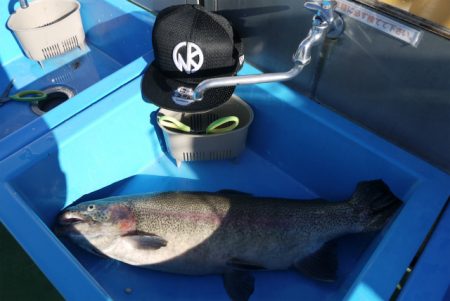 としまえんフィッシングエリア 釣果