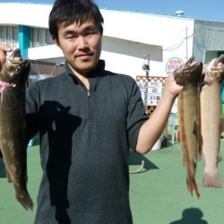 としまえんフィッシングエリア 釣果