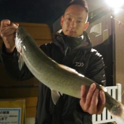 としまえんフィッシングエリア 釣果