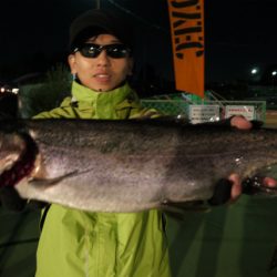 としまえんフィッシングエリア 釣果