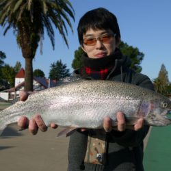 としまえんフィッシングエリア 釣果