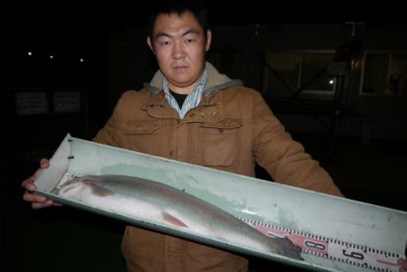 としまえんフィッシングエリア 釣果