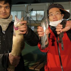 としまえんフィッシングエリア 釣果