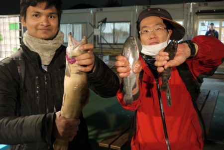 としまえんフィッシングエリア 釣果