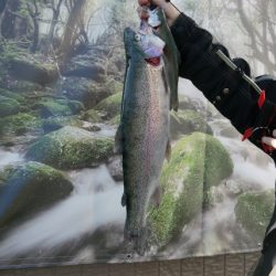 としまえんフィッシングエリア 釣果