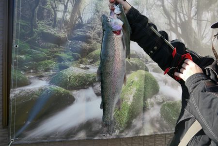 としまえんフィッシングエリア 釣果