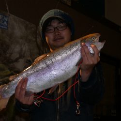 としまえんフィッシングエリア 釣果