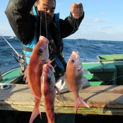 真祐丸 (しんゆうまる) 釣果