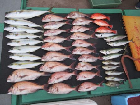 真祐丸 （しんゆうまる） 釣果