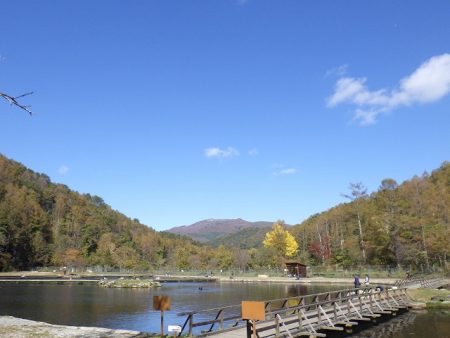 平谷湖フィッシングスポット 釣果