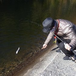 平谷湖フィッシングスポット 釣果