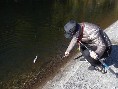 平谷湖フィッシングスポット 釣果