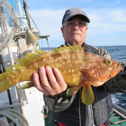 真祐丸 (しんゆうまる) 釣果