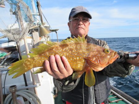 真祐丸 (しんゆうまる) 釣果