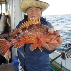 真祐丸 (しんゆうまる) 釣果