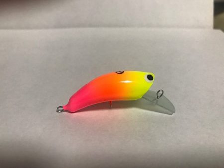 平谷湖フィッシングスポット 釣果