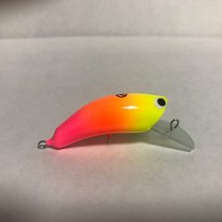 平谷湖フィッシングスポット 釣果