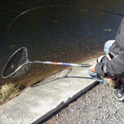 平谷湖フィッシングスポット 釣果