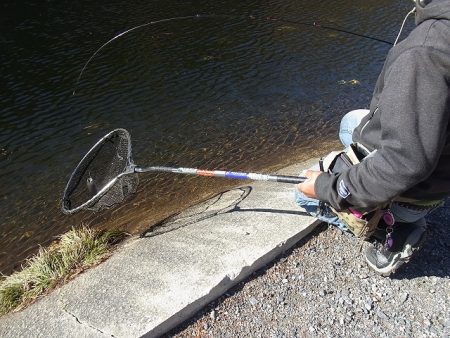 平谷湖フィッシングスポット 釣果