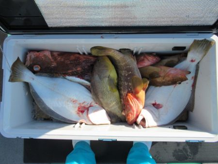 真祐丸 （しんゆうまる） 釣果