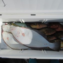 真祐丸 (しんゆうまる) 釣果