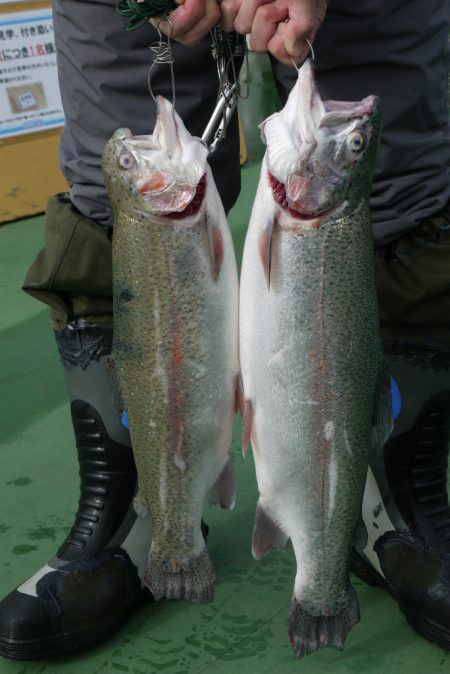 としまえんフィッシングエリア 釣果