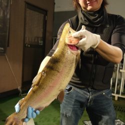 としまえんフィッシングエリア 釣果