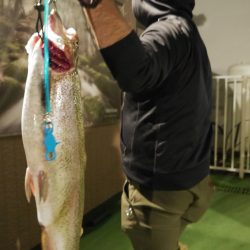 としまえんフィッシングエリア 釣果