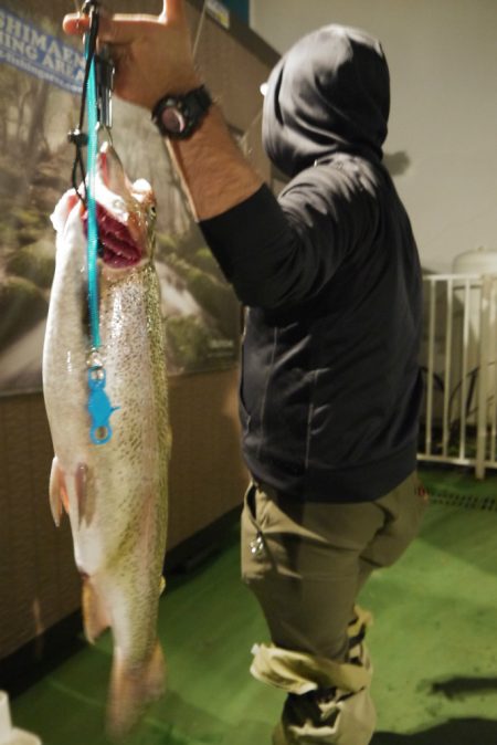 としまえんフィッシングエリア 釣果