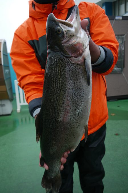 としまえんフィッシングエリア 釣果
