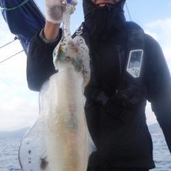 ブルースフィッシングサービス 釣果