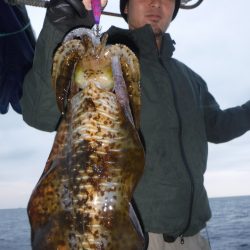 ブルースフィッシングサービス 釣果