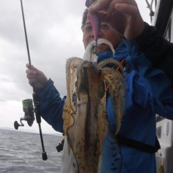 ブルースフィッシングサービス 釣果