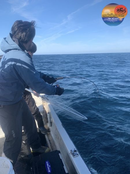 幕島丸 釣果
