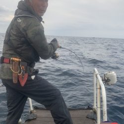 幕島丸 釣果
