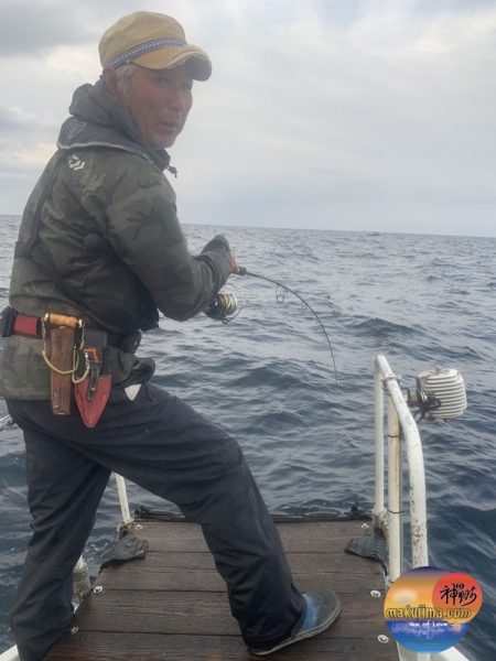 幕島丸 釣果