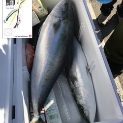 幕島丸 釣果