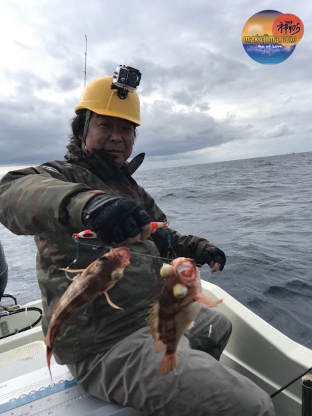 幕島丸 釣果