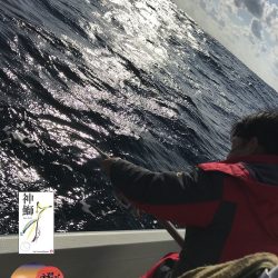 幕島丸 釣果