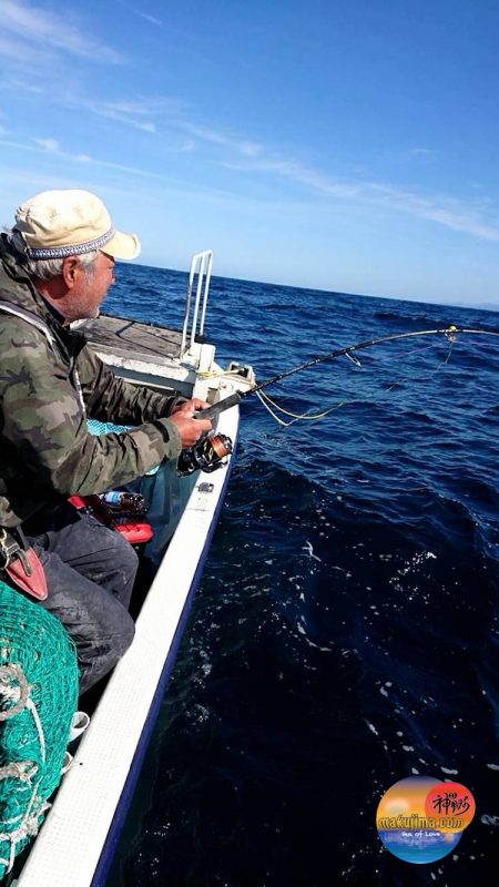 幕島丸 釣果