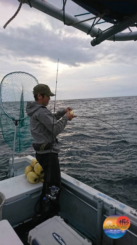 幕島丸 釣果