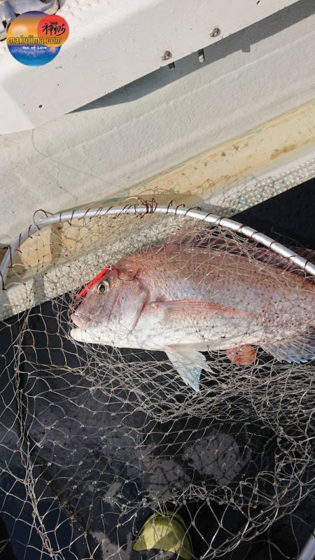 幕島丸 釣果
